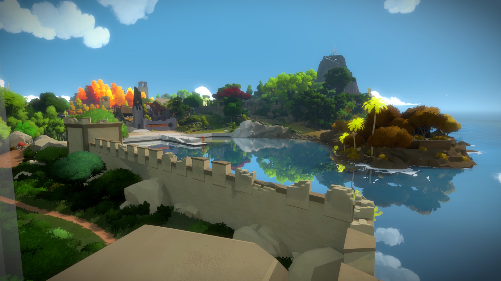 the witness review